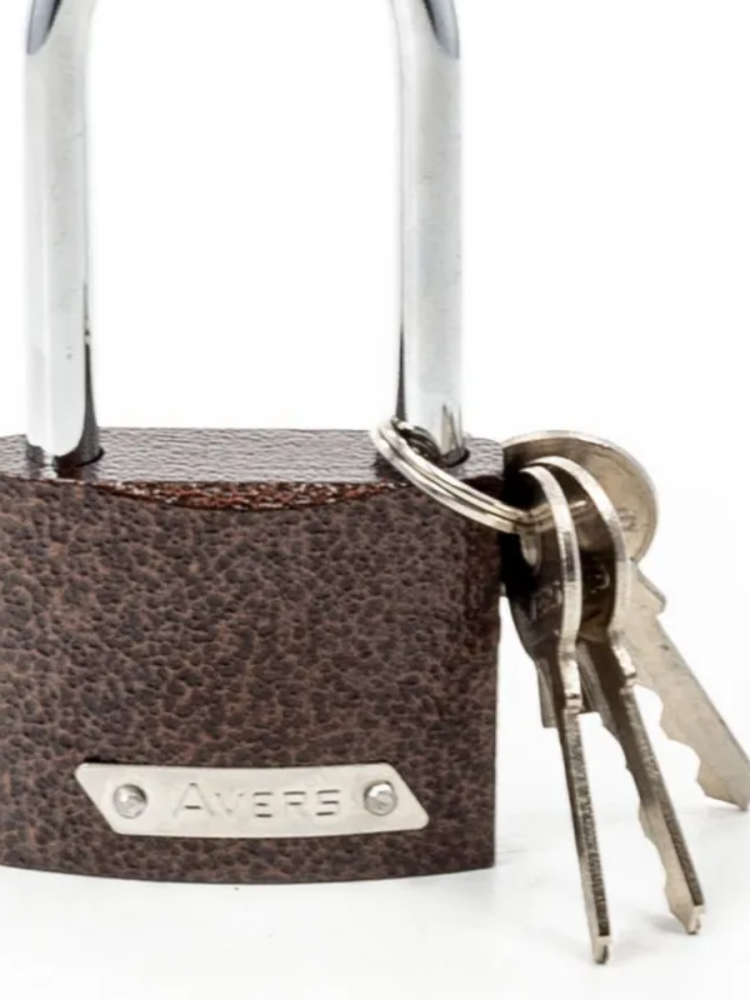 AVERS PD-01-50-L Замок навесной (96,12!!!)
