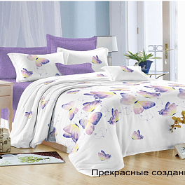 КПБ "Satin collection" 2 сп. микросатин, прост.180х215 и под.175х215 (Прекрасное создание)
