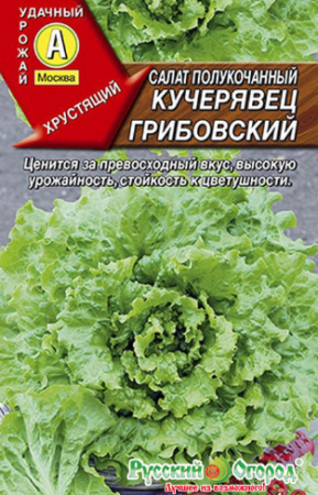 Салат Кучерявец Грибовский п/кочанный 1гр  /10