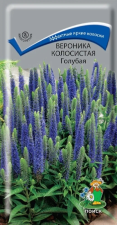 Вероника Голубая колосистая  0,1гр/10, ПЦц ВВ В