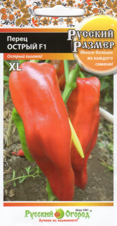 Перец острый Русский размер F1  15шт/10/200, НК АА А автор`